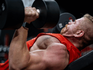 Home and gym workout routines for beginners and advanced fitness