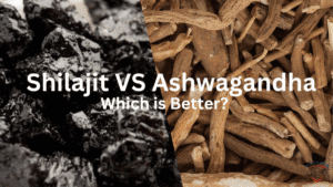 Ashwagandha and Shilajit herbs side by side for stress relief, energy, and stamina