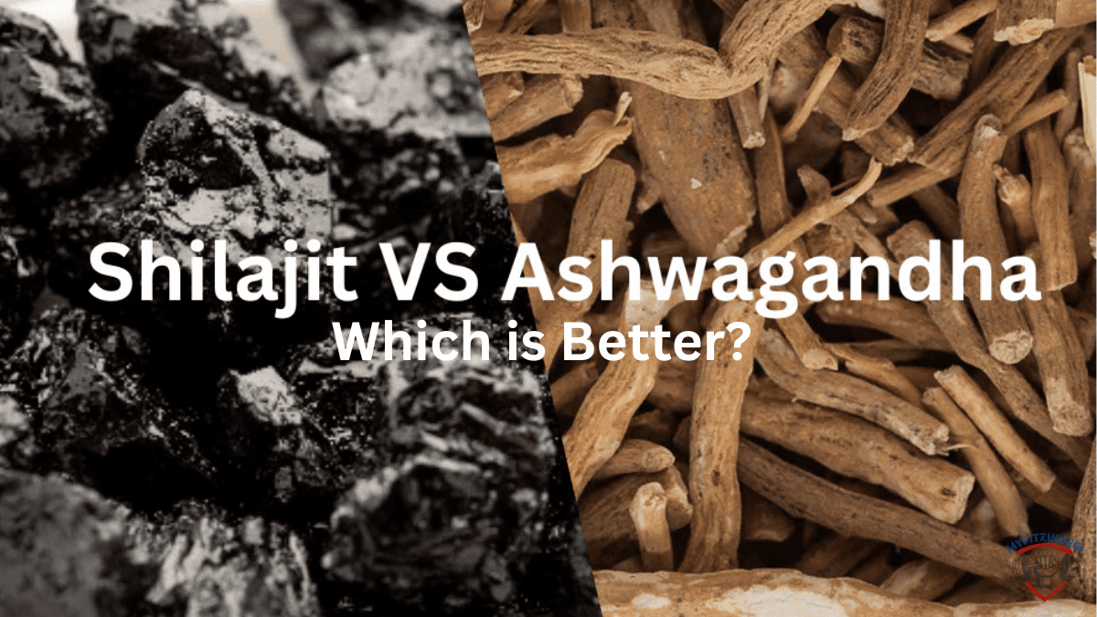 Ashwagandha and Shilajit herbs side by side for stress relief, energy, and stamina