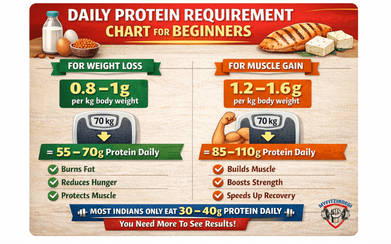 daily protein requirement chart for beginner
